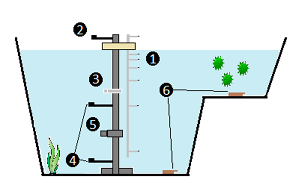 Schematic diagram for the experimental setup