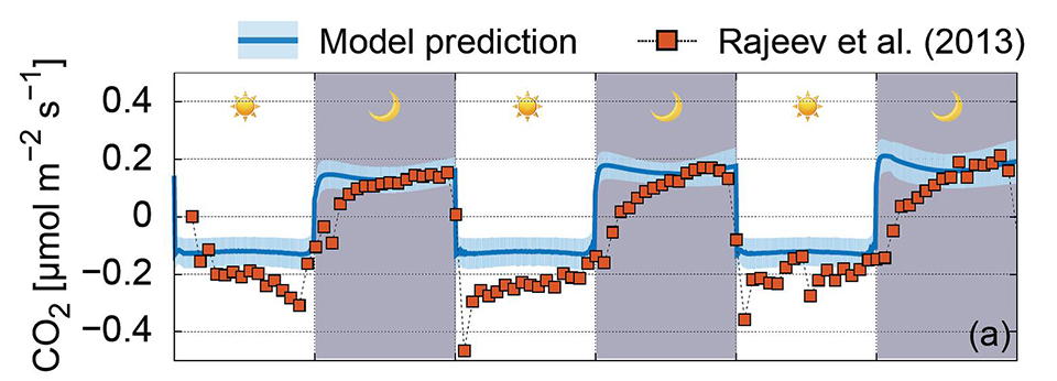 Model prediction