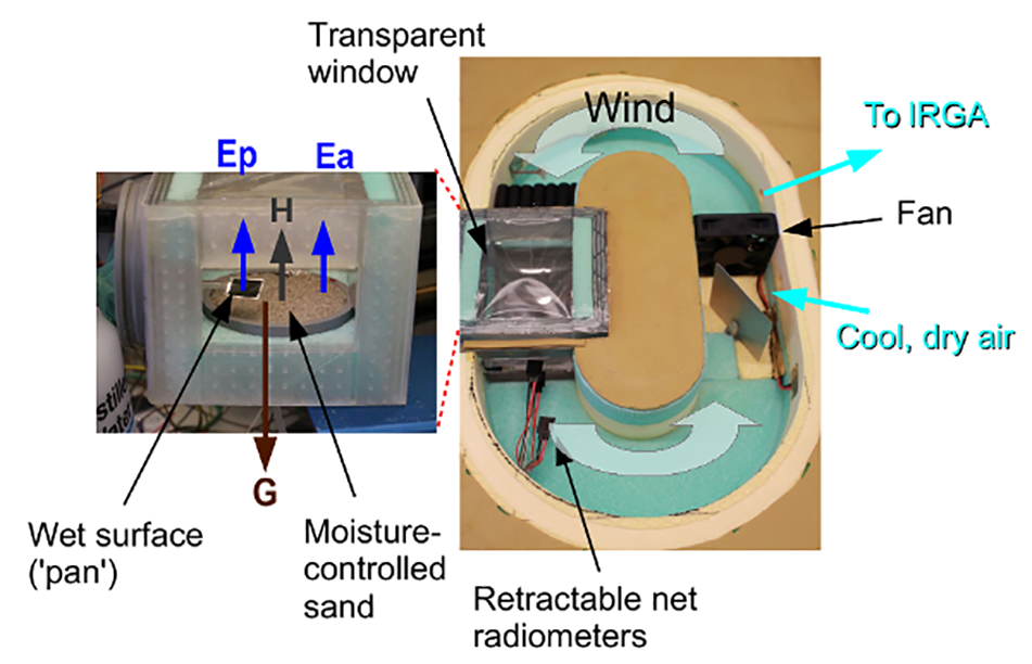 Miniature wind tunnel for measuring all components of surface and leaf energy balance